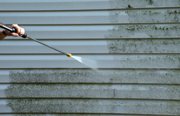 Best Roof Washing  in Camilla, GA
